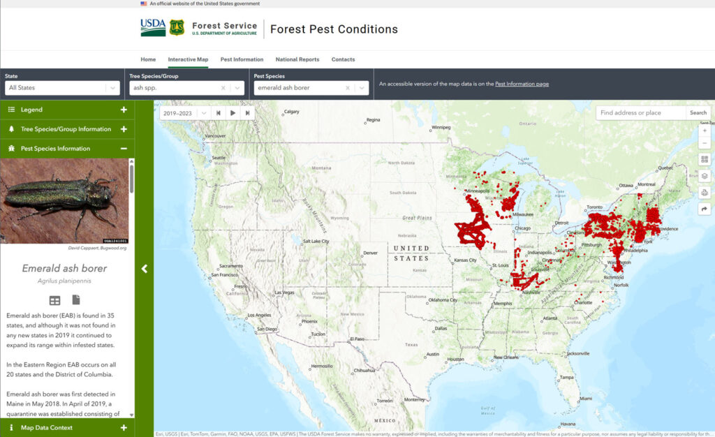 Forest Pest Conditions